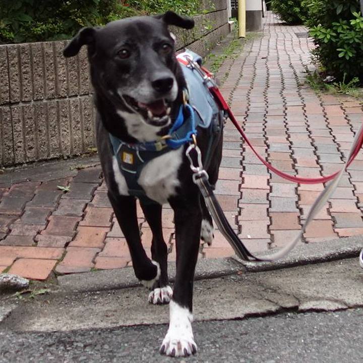 E45da375 ae0c 4354 800d 4199f2dff169 1728520116802