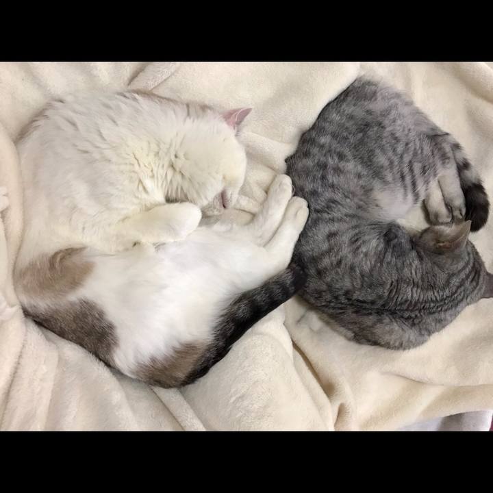 E45db573 bdf1 4cd4 ae41 c80e0aa3fdf5 1540017811567