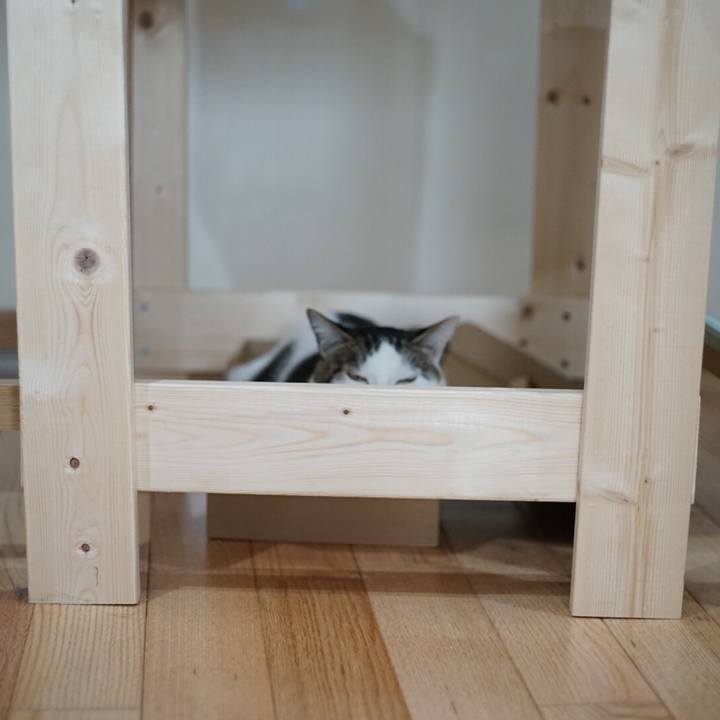 E45dc4df 06b8 4781 8e81 ba2df17dc5d1 1522464292254