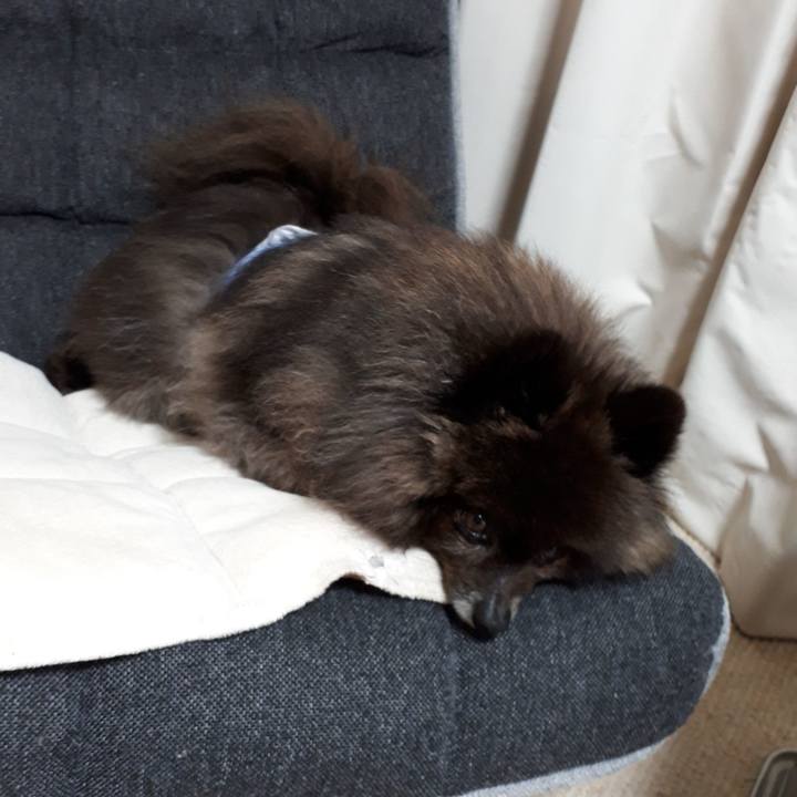 E45de731 7f27 489d 8c36 49d6c3972d97 1521517518567