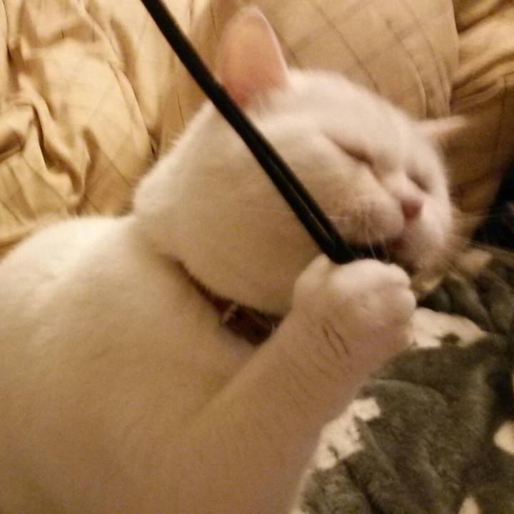 E45df405 a467 49a1 a4b9 b34a0b1e8c1a 1519944941563