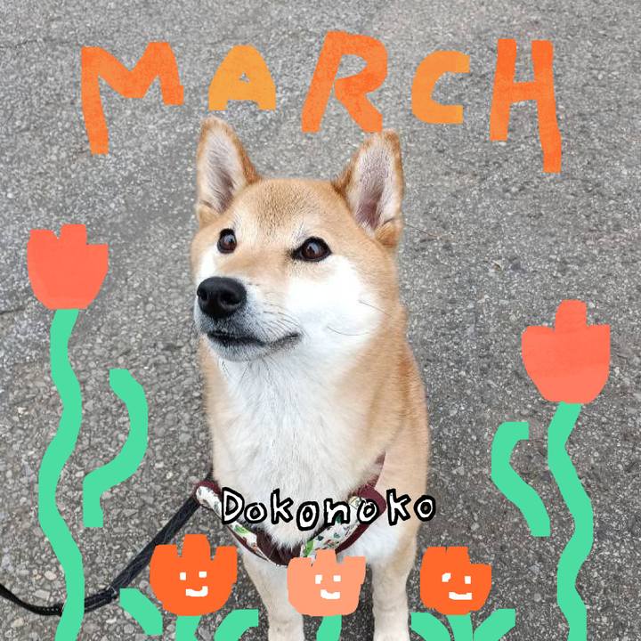 E45e029f d6ec 431b 9052 8f0974dd40b7 1741413103691