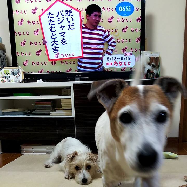 E45e1ad6 0181 4b25 a6b5 6b5e183f6081 1557698687542