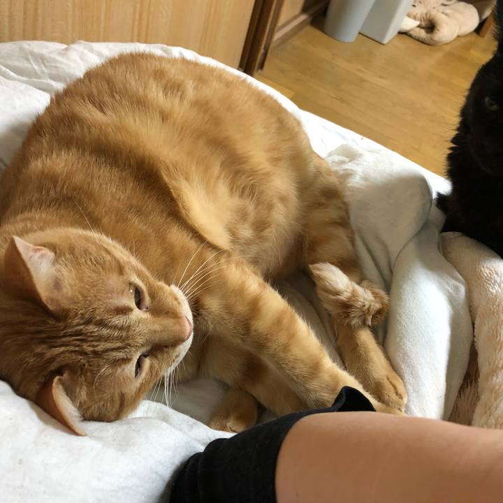 E45e2d0e eec6 4a3a b1e0 ed6330ca4e1d 1582796121955