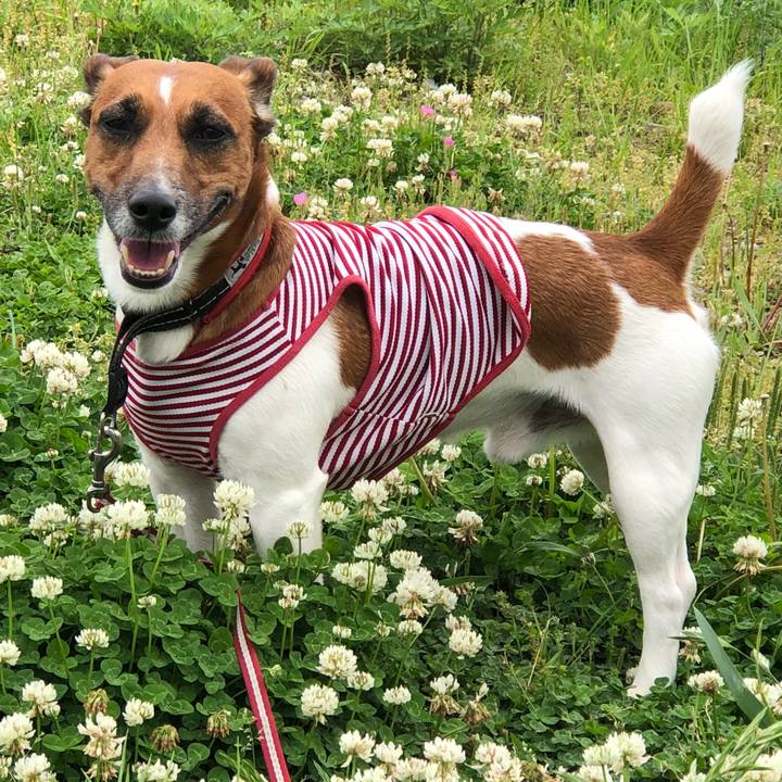 E45e41b7 e2fa 4377 a63f 48e12f6d7157 1525042192740