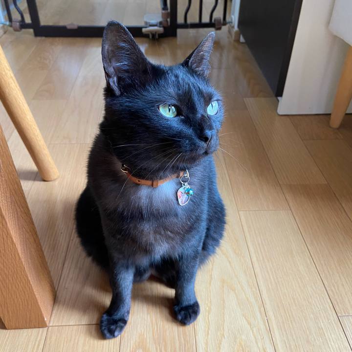 E45e47b5 6583 41c4 b2ed f7b7336058ff 1594712741334