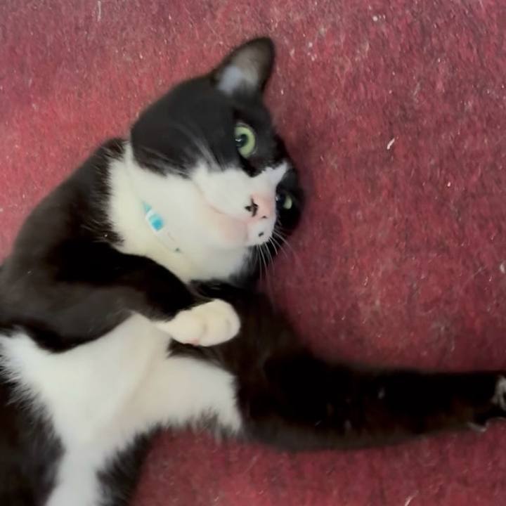 E45e546d 5920 47cd 9f9e 5c32bc413f95 1747966318522