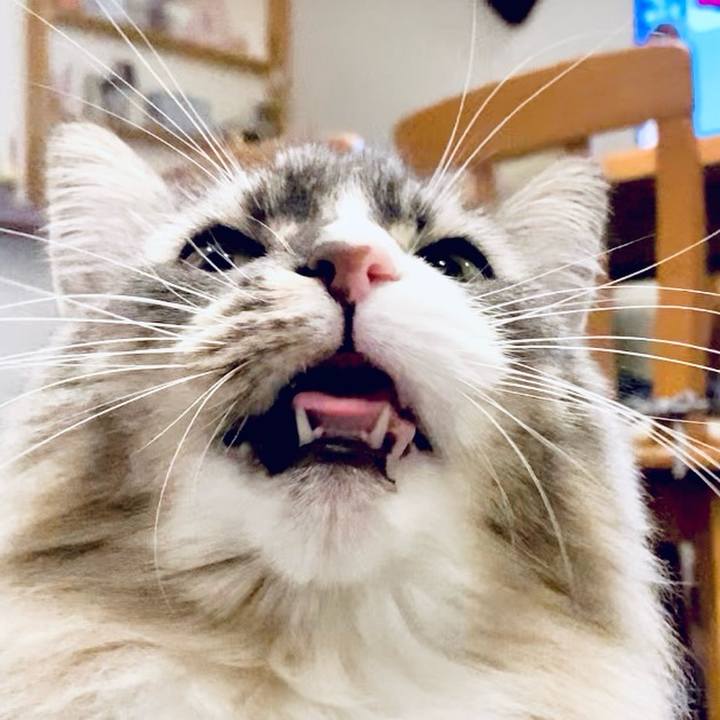 E45e757c c1a5 4794 8dd6 10d4cc5e6fce 1763479457826