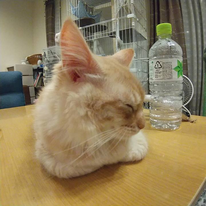 E45e94c2 235c 495d af46 efdfb6c84fdb 1613476426997