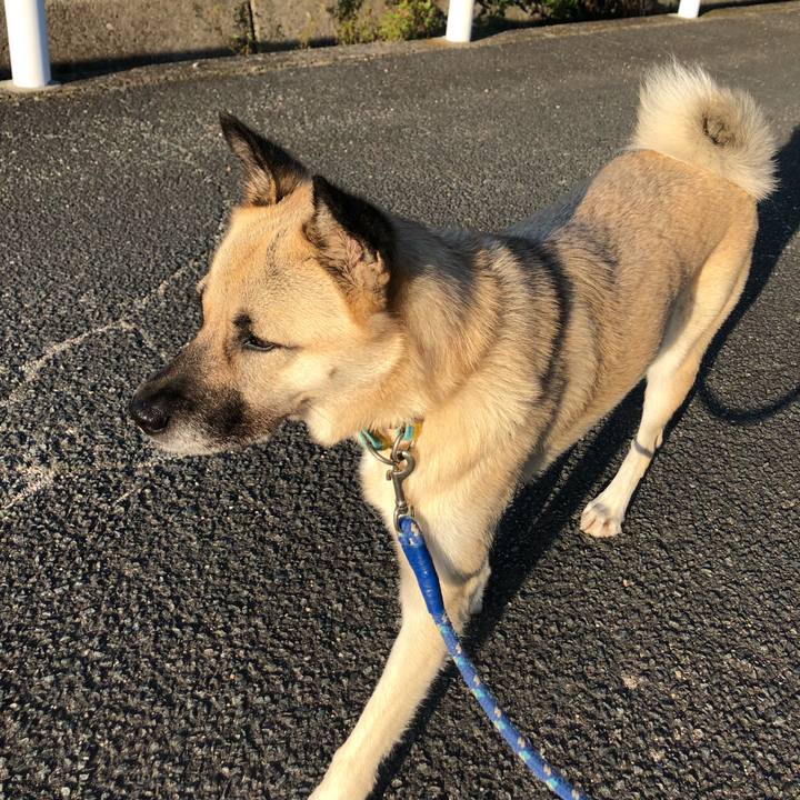 E45e9f1e 39d9 4038 b31c ad84d4d8ebad 1570190746016