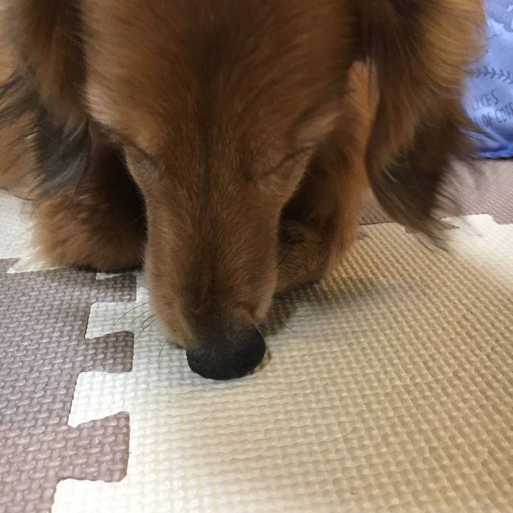 E45e9fdc 7a9c 4b15 9699 4c09c07a2ce1 1594041637940