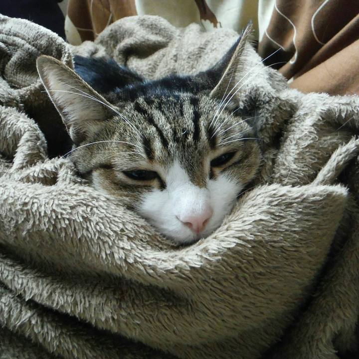 E45ed12d 24c6 4093 aa8c 7be21a3d10ab 1516756471742