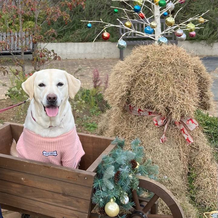 E45ef3fb b131 487f b151 e887dd3e9387 1703523623151