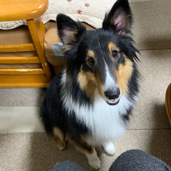 E45f0ffa ccbb 4f07 9cc8 9a0ffdce5c93 1549231047651