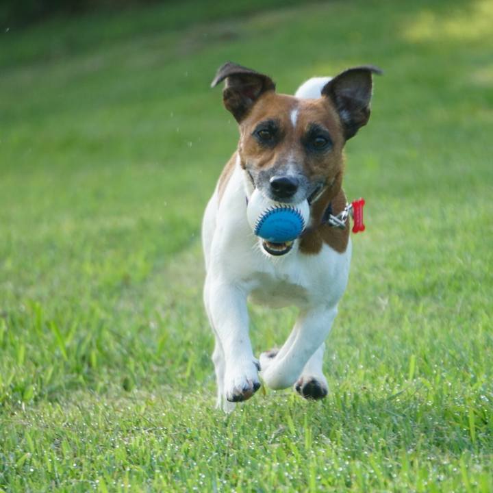 E45f1506 9b99 4bce 9246 3e44bbb79a7a 1534115089431