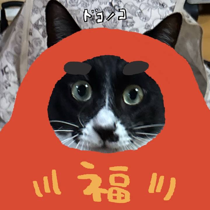 E45f234c bb28 40d6 ba39 dc04052ab274 1771847889710