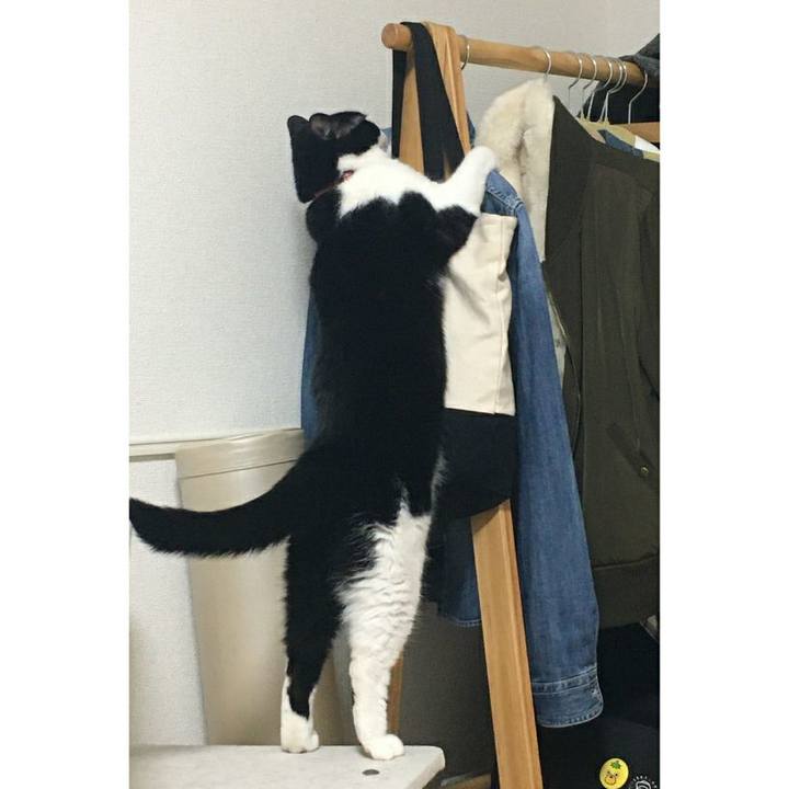 E45f328b 79d8 43ba 99fe 3c57bdc9b773 1583360794391