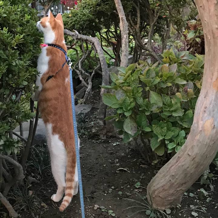 E45f36b9 1822 401a 9c5d a92a08813606 1507970838887