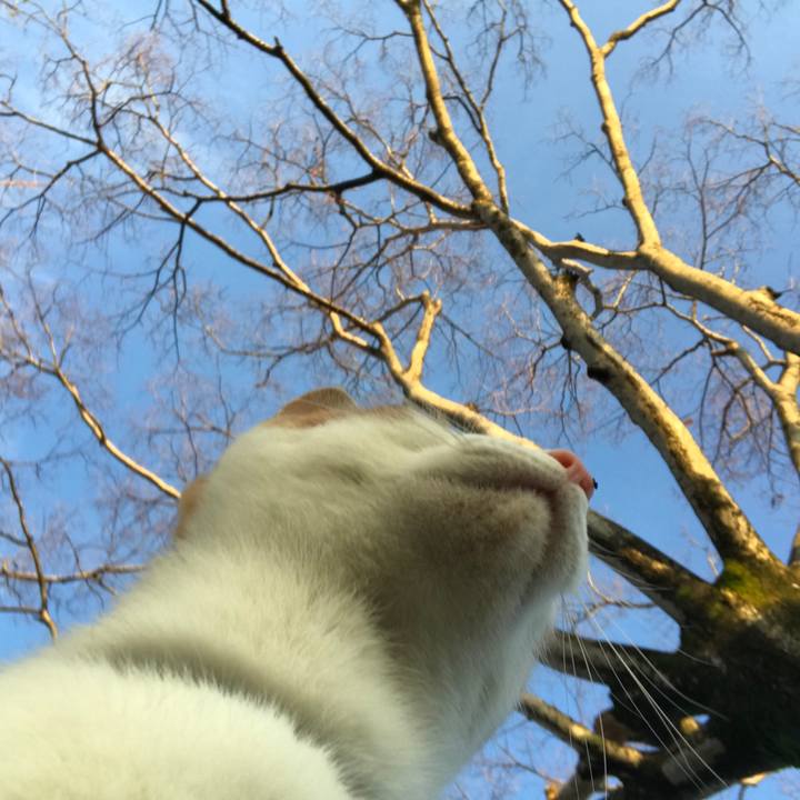 E45f55b5 0b6e 47e2 a9b0 9996429a5f14 1511419307215