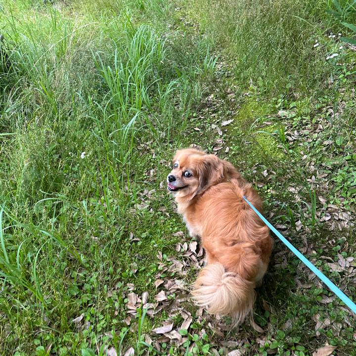 E45f5812 7b59 4fd5 b469 81a40692b8d0 1750367589352