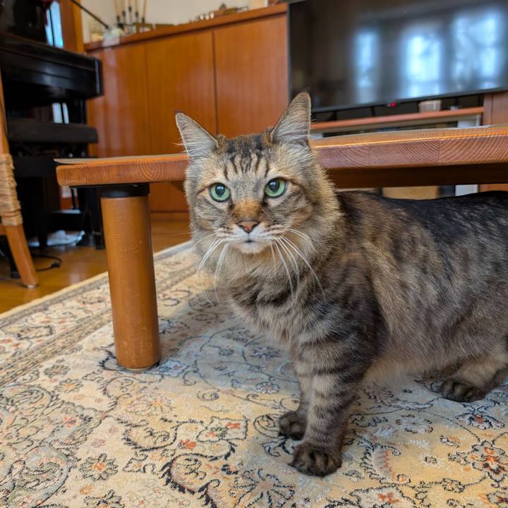 E45f58bd e8d6 429f 8ed4 a0210d07d7c7 1775089344845