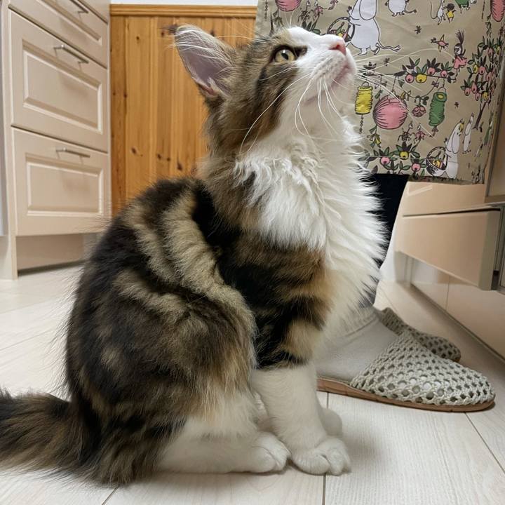 E45f64cd e961 4746 b1de 758e8a8d4a70 1636535747541