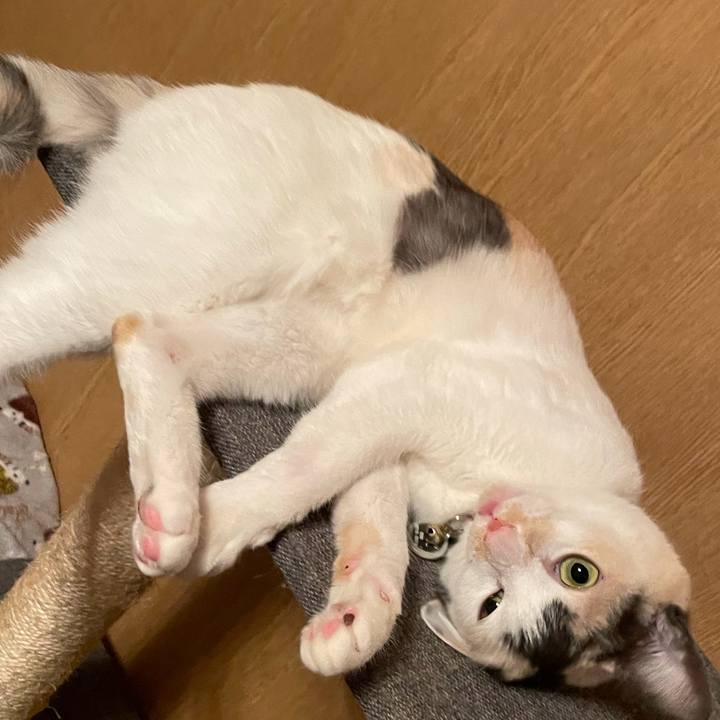 E45fad49 1f5c 4edd ac25 a9338b665434 1734660075002