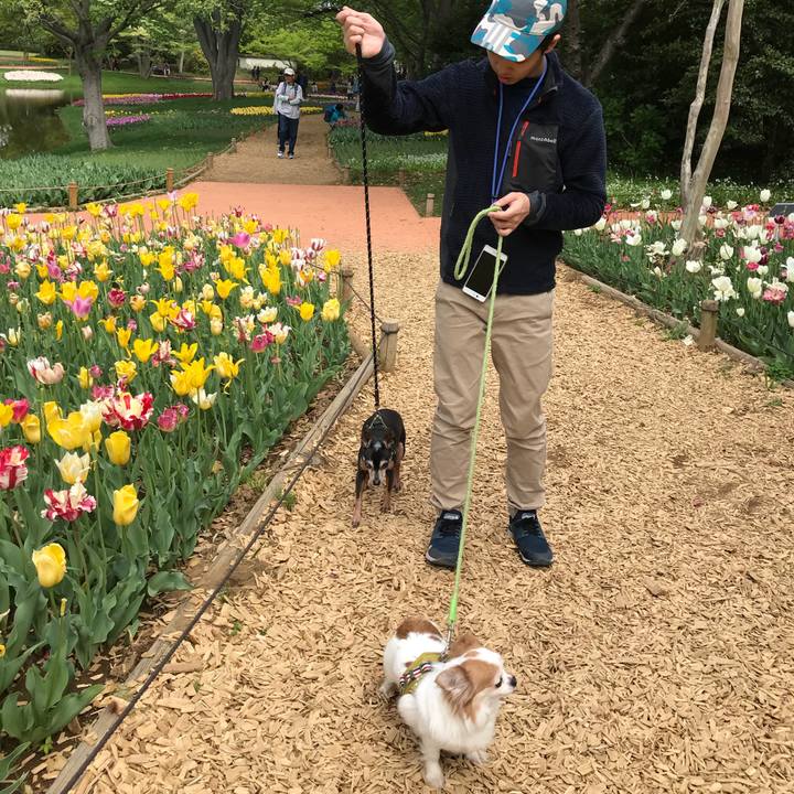 E45fadbf 5796 498d ac20 ceda8fac039c 1556579741658