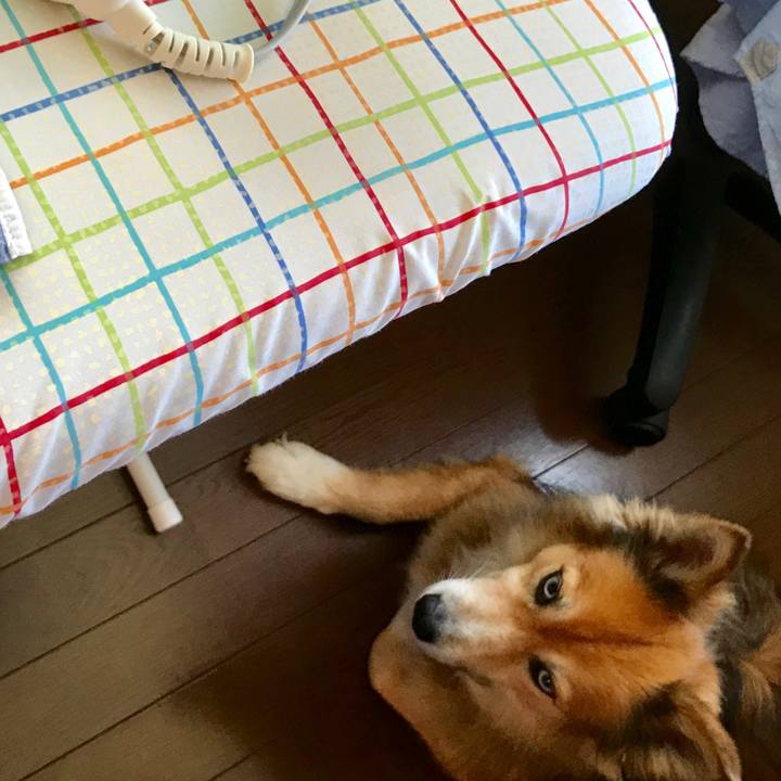 E45fadea aa6d 4ffd 855d daab9e00acf9 1537322010728