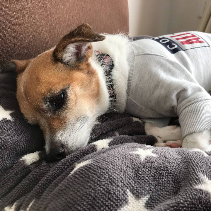 E45fce6b 4648 4cba 93c4 585801e6fad8 1543893492615