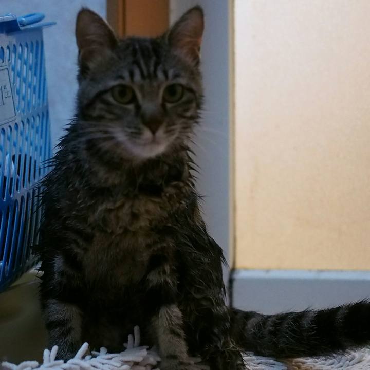 E45fdc8e a2ab 43e2 ace8 a06a3efc41f4 1525571054996