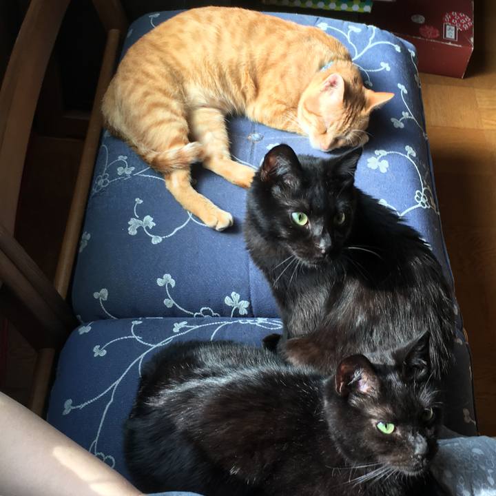 E45fe78d 8058 4f97 9d77 bc12539660bc 1532353583067