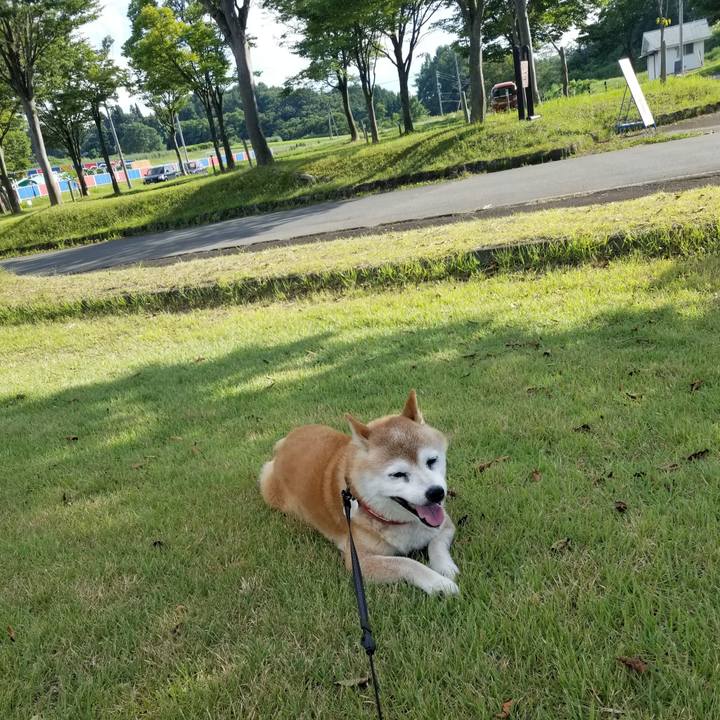 E45ff3fe 7058 4fa6 b5c9 411a25cddebe 1724655196798