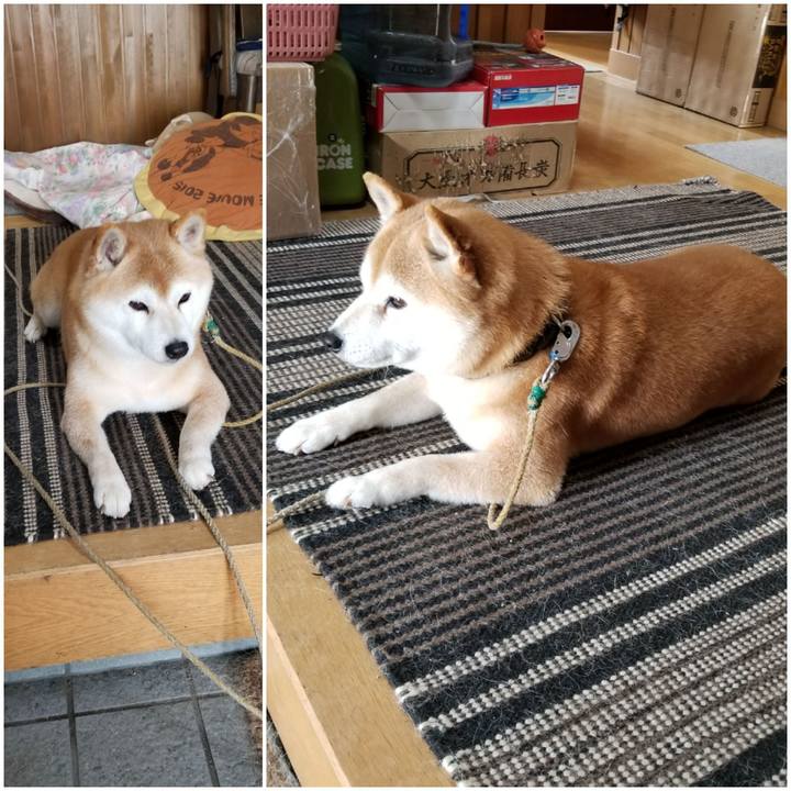 E45ff85b bc41 416b a75b c4f44d6efd38 1646703186675