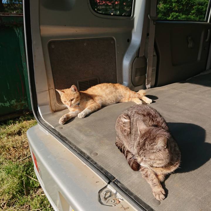 E4601adb 1218 4d5d aff0 3bac4bddbe9a 1558662143200