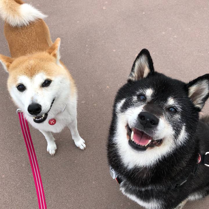 E4601c82 b03e 4a8a adc9 352b00c98f2e 1631494291351