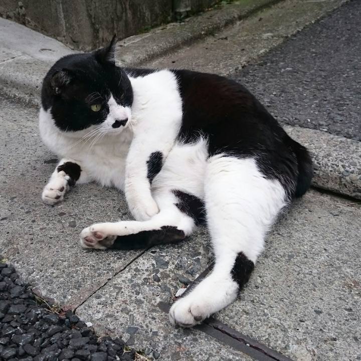 E4609f48 62b5 493e 8eaa 85cad33f2608 1521354857455