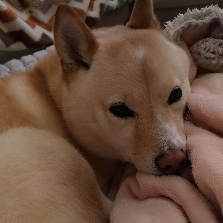 E460c8ea 8951 40bd 8bd7 e554dc0727d2 1580865873215