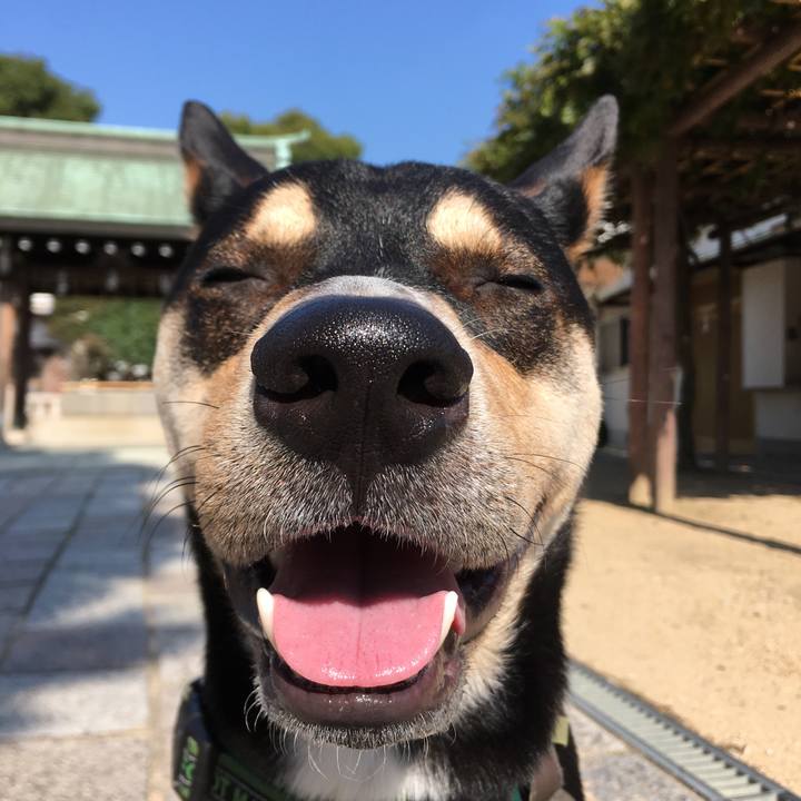 E460f47b 25ef 45cb a705 d2d3bee322e0 1541917965100