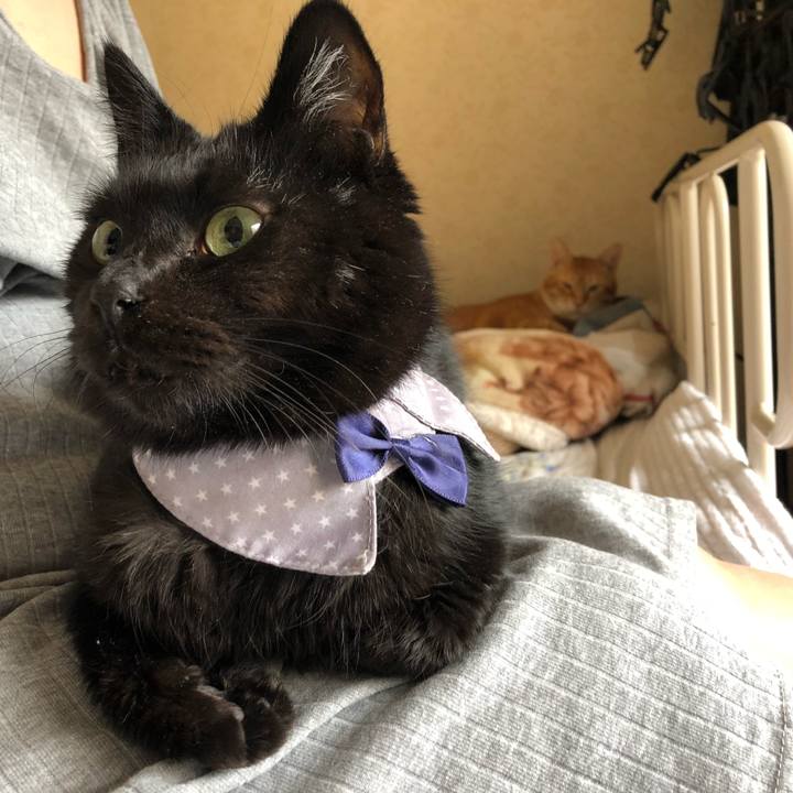 E4610a40 fdfc 4a06 9f02 dd1512ab7370 1573438278252