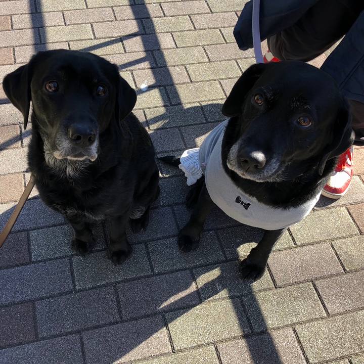 E461773e 8c63 4a67 92ce d44fceeb604a 1546252710497