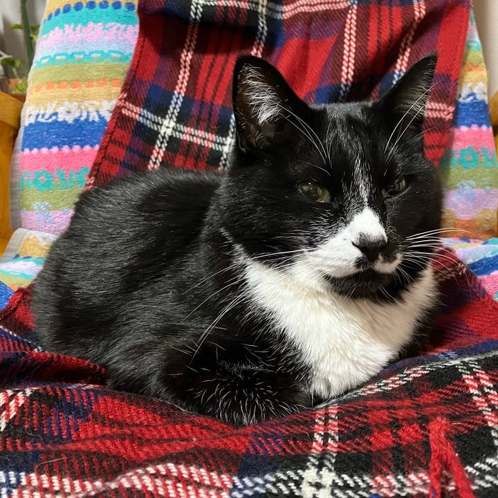 E461b81b a97b 48df 9888 8d9ae9c3a743 1741319230266