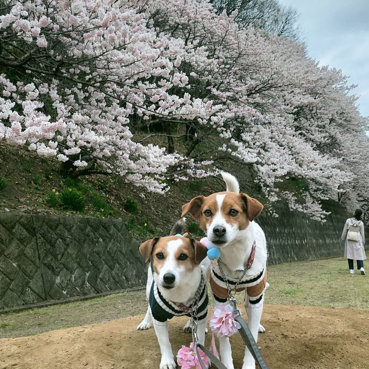 E461bf4d 00ec 442f a51e a6b93c5c8b17 1773656893719