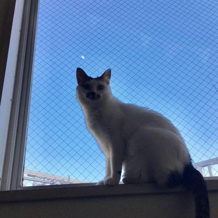 E461d1ec 6c30 458e 850f 602410c9af99 1517037670026