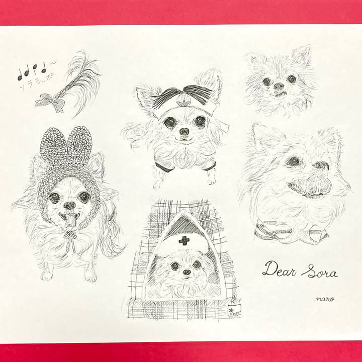 E461f1cd 2adf 43f3 beb0 aa80afe78b6e 1648766184814