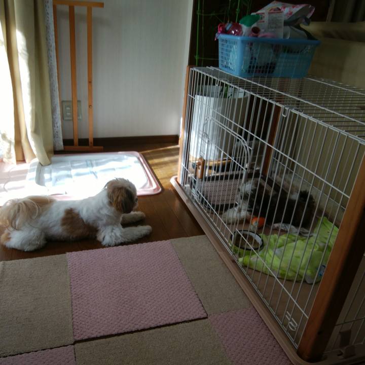 E46211b6 97ed 4dd7 8b82 462e6e342ff3 1532817617830