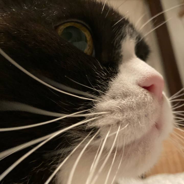 E46228c1 a2d4 4582 bc77 c08aa6e6a278 1616796999013