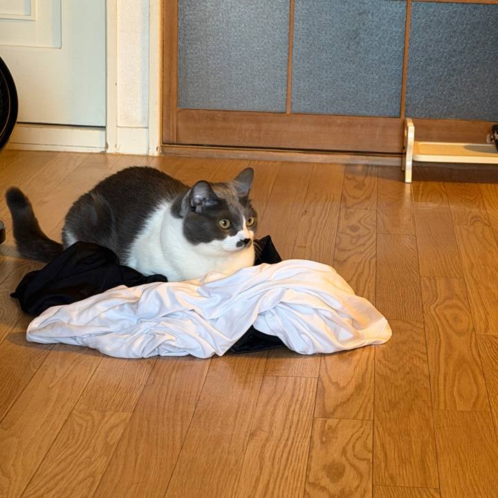 E4623b64 d838 4d3f 806d eef2e067ce51 1763422841075