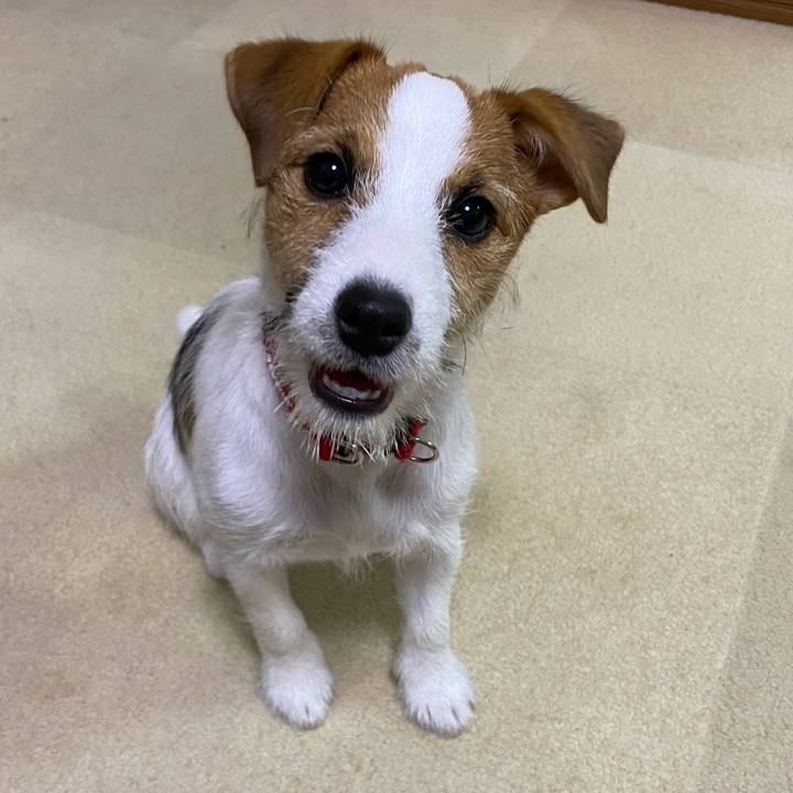 E46263fd 1768 4f57 bf3a b34d0973ef27 1617478330716