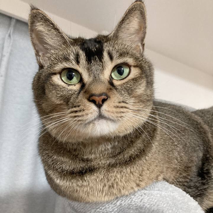 E4626c9e 8c6a 46b1 935f 4ef719c1d329 1696736753392